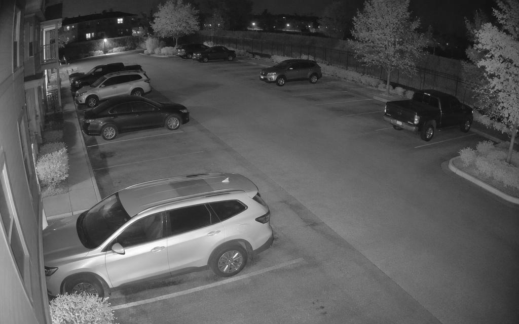Sample camera view: Parking